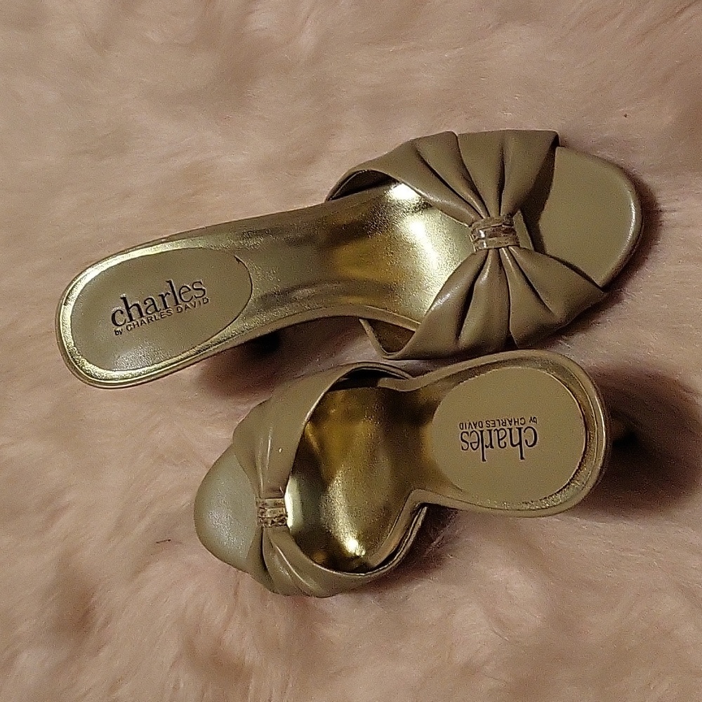 Charles David Sandals size 8